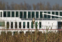 BUITEN BEELD Foto: 50957