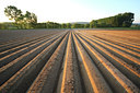 BUITEN BEELD Foto: 50982