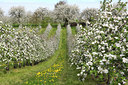 BUITEN BEELD Foto: 50992