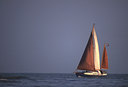 BUITEN BEELD Foto: 51011