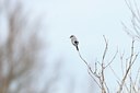 BUITEN BEELD Foto: 51138