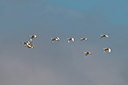 BUITEN BEELD Foto: 51148