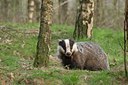 BUITEN BEELD Foto: 51236