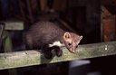 BUITEN BEELD Foto: 51326