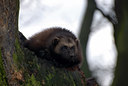 BUITEN BEELD Foto: 51359