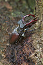 BUITEN BEELD Foto: 51370