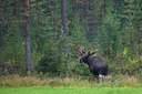 BUITEN BEELD Foto: 51425