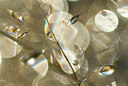 BUITEN BEELD Foto: 51473