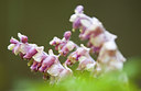 BUITEN BEELD Foto: 51477