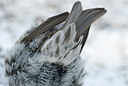 BUITEN BEELD Foto: 51504