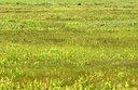 BUITEN BEELD Foto: 51555