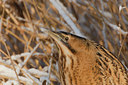 BUITEN BEELD Foto: 51640
