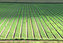 BUITEN BEELD Foto: 51676