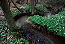 BUITEN BEELD Foto: 51705