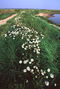 BUITEN BEELD Foto: 51746