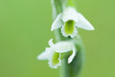 BUITEN BEELD Foto: 51748