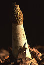 BUITEN BEELD Foto: 51751