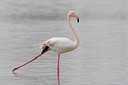 BUITEN BEELD Foto: 51778