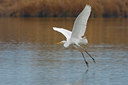 BUITEN BEELD Foto: 51786