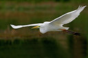 BUITEN BEELD Foto: 51789