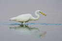 BUITEN BEELD Foto: 51793