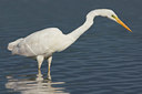 BUITEN BEELD Foto: 51801