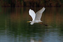 BUITEN BEELD Foto: 51806