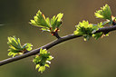 BUITEN BEELD Foto: 51814