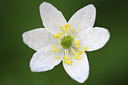 BUITEN BEELD Foto: 51816