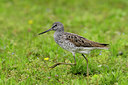 BUITEN BEELD Foto: 51817
