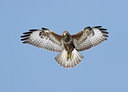 BUITEN BEELD Foto: 51834