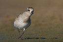 BUITEN BEELD Foto: 51840
