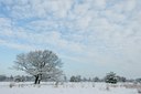 BUITEN BEELD Foto: 51895