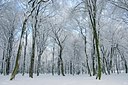 BUITEN BEELD Foto: 51896