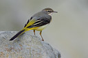 BUITEN BEELD Foto: 52052