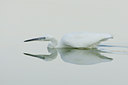 BUITEN BEELD Foto: 52065