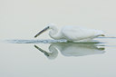 BUITEN BEELD Foto: 52067