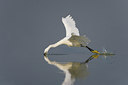BUITEN BEELD Foto: 52106