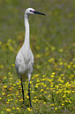BUITEN BEELD Foto: 52121