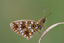 BUITEN BEELD Foto: 52171