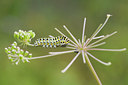 BUITEN BEELD Foto: 52189