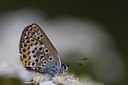 BUITEN BEELD Foto: 52194