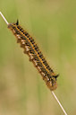 BUITEN BEELD Foto: 52206