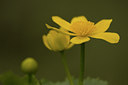 BUITEN BEELD Foto: 52214