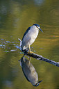 BUITEN BEELD Foto: 52267