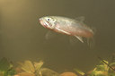 BUITEN BEELD Foto: 52307