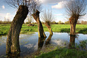 BUITEN BEELD Foto: 52346