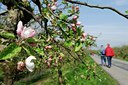 BUITEN BEELD Foto: 52399