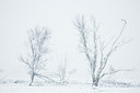 BUITEN BEELD Foto: 52445