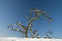 BUITEN BEELD Foto: 52464
